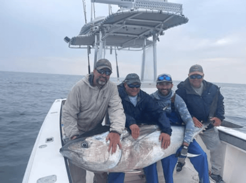 Plymouth Big Tuna Chase