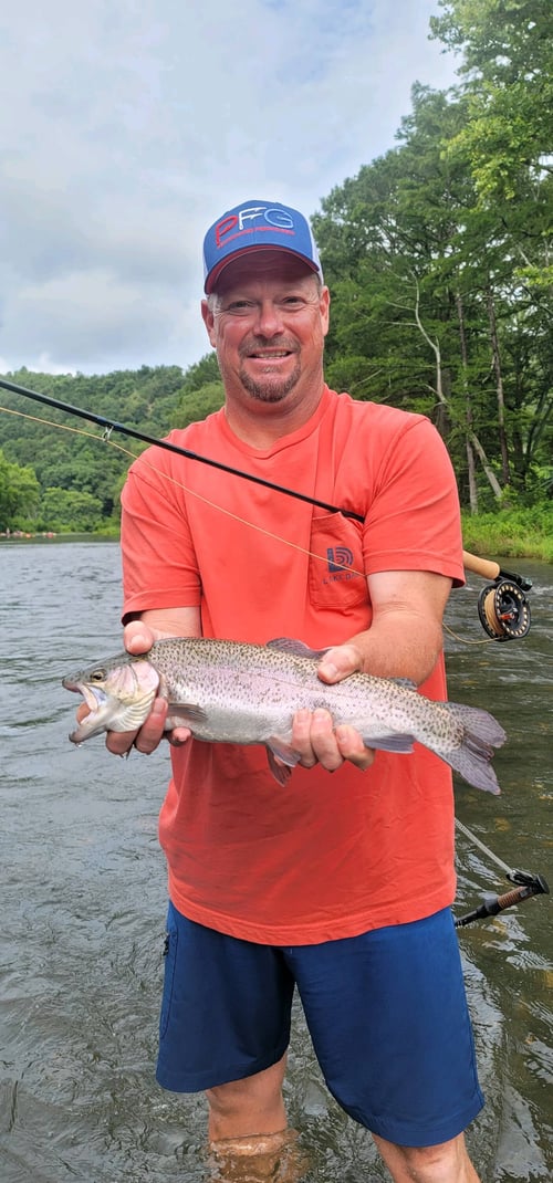 Full Day or Half Day Guided Trip