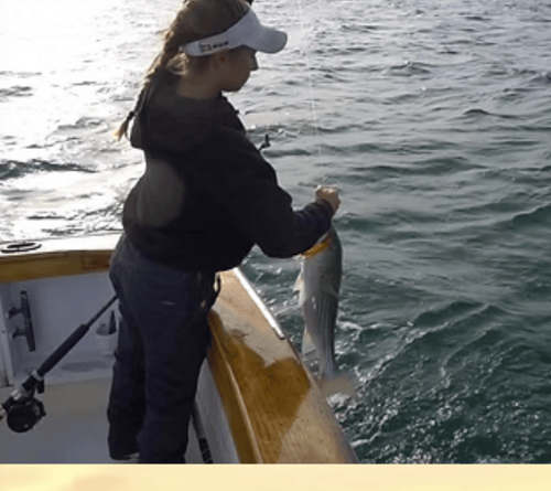 Rock Harbor Classic Sportfish