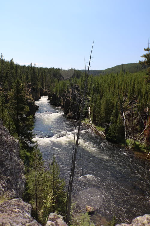 Flyfishing the Firehole