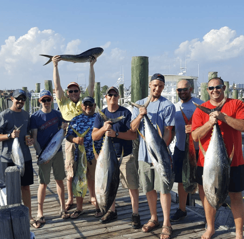 Orange Beach Tuna Expedition