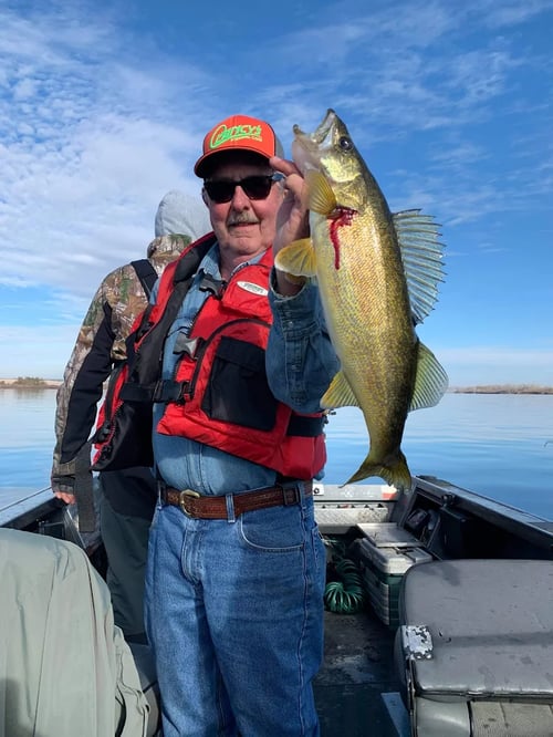Walleye, Shad, and Sturgeon Trip