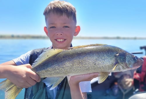 Walleye, Shad, and Sturgeon Trip