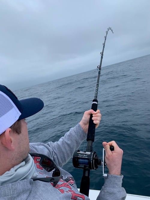 Full Day Offshore - 36' Contender