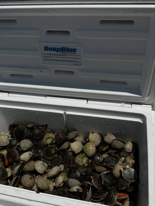 Scalloping Adventure - 24’ Skipjack