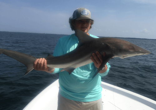 Shark Trip - 24' SeaPro
