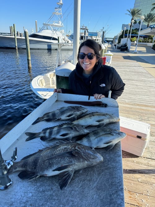 Biloxi Inshore Outing