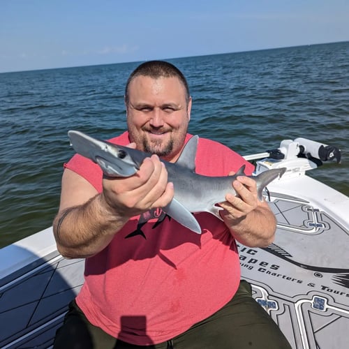 Tampa Bay Sharkfest - 25’ Sportsman