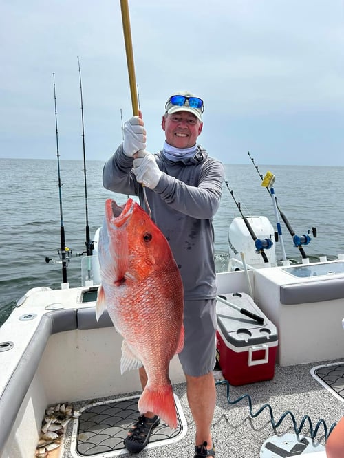 Nearshore Dauphin Island Adventure