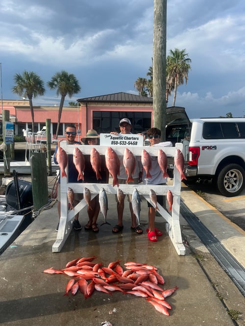 PCB Half Day Combo Trip