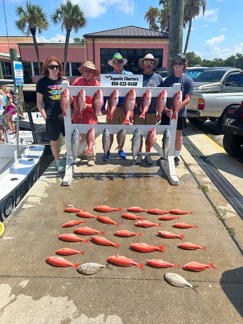 PCB Half Day Combo Trip