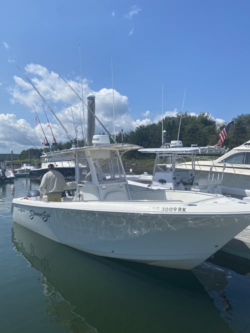 Cape Cod Bay Bass and Bluefish trip