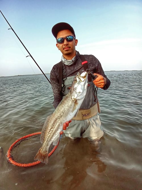 Wading the Laguna Madre