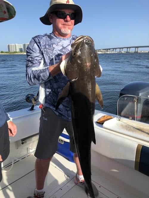 Alabama Offshore Classic