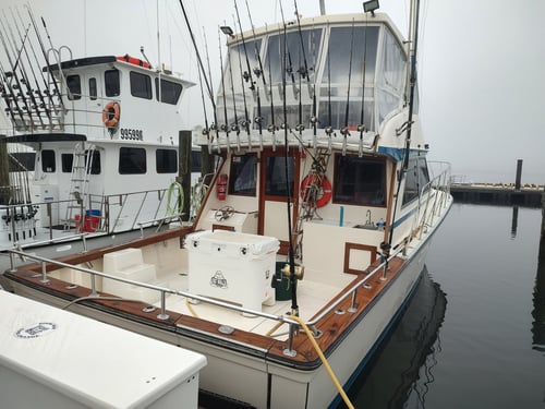 Orange Beach Bottomfishing Bonanza