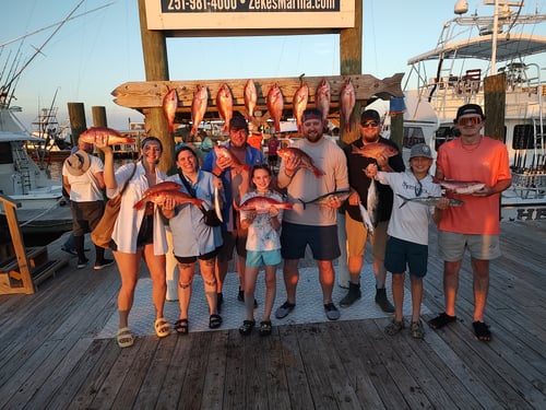 Orange Beach Bottomfishing Bonanza
