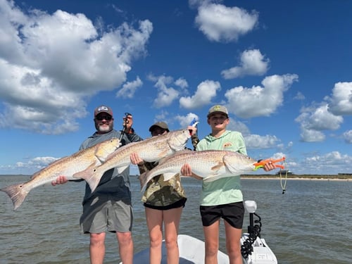 Port O'Connor Bay Trip