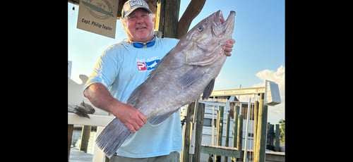 Orange Beach Super Trip