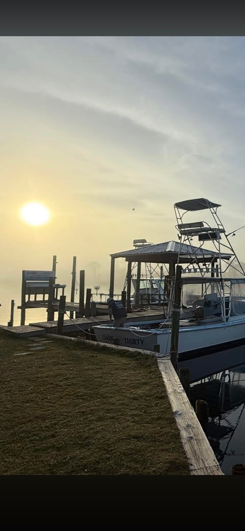 Orange Beach Snapper Slammer- 30'