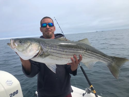 Massachusetts Flounder Hookfest