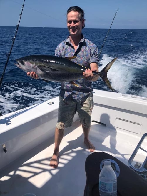 Yellowfin Tuna Fishing in Puerto Jiménez, Costa Rica