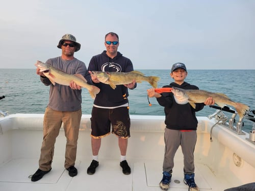 Lake Erie Walleye Roundup