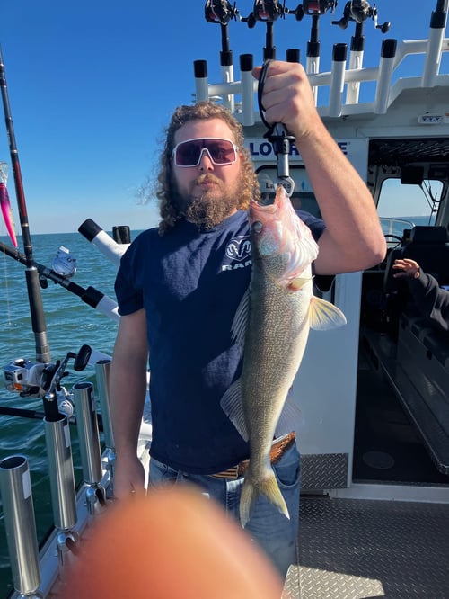 Lake Erie Walleye Catch