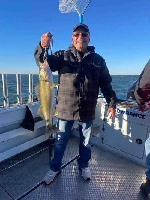 Lake Erie Walleye Catch