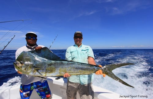Mahi Mahi Fishing in Puerto Jiménez, Costa Rica