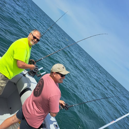 Lake Erie Walleye Drift