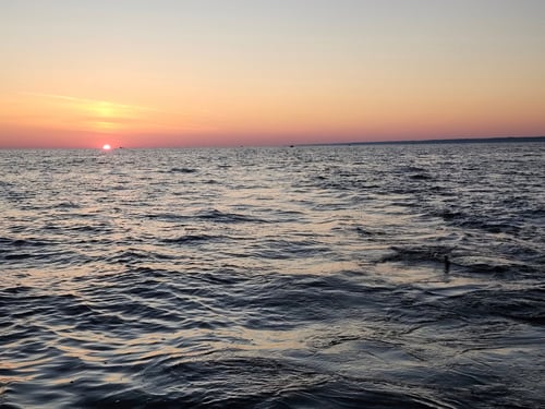 Lake Erie Steelhead Special