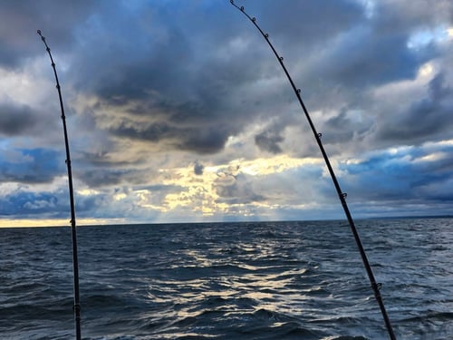 Lake Erie Steelhead Special