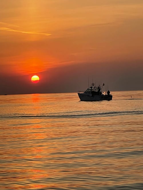 Lake Erie Perch Hunt