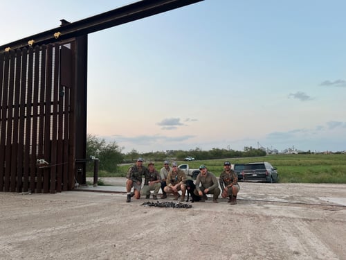 South Texas Doves and White Wings
