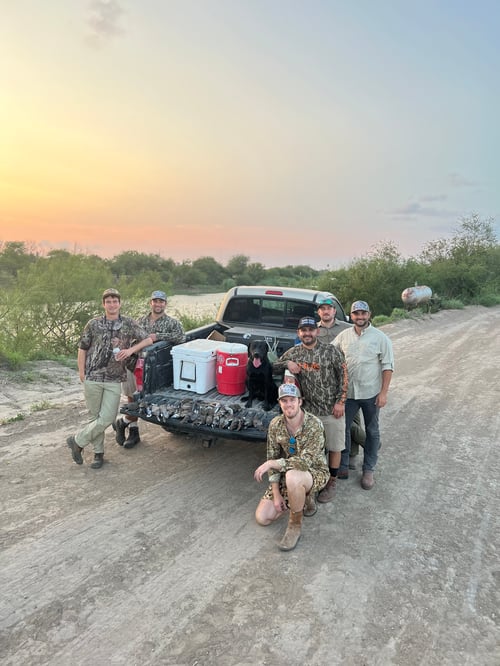 South Texas Doves and White Wings