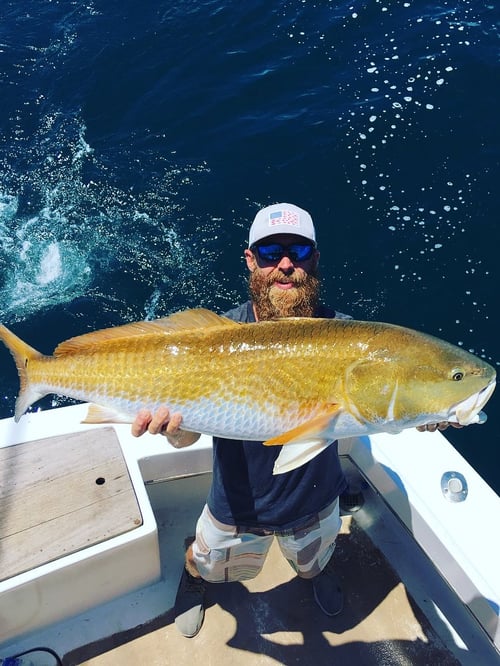 Redfish Fishing in Wanchese, North Carolina