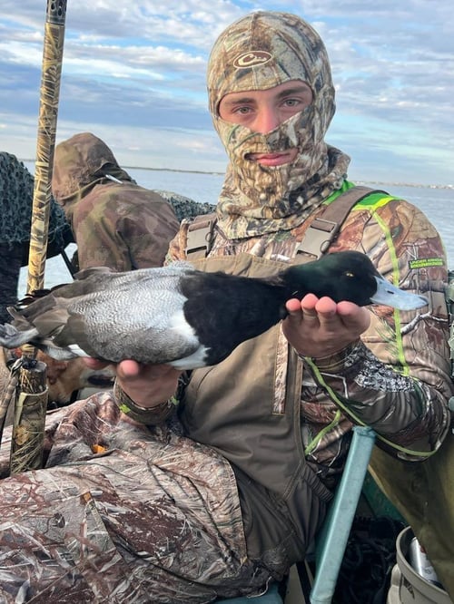 Rockport Duck Hunt