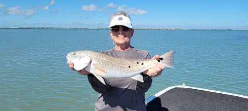 Catch-and-Release on Artificials