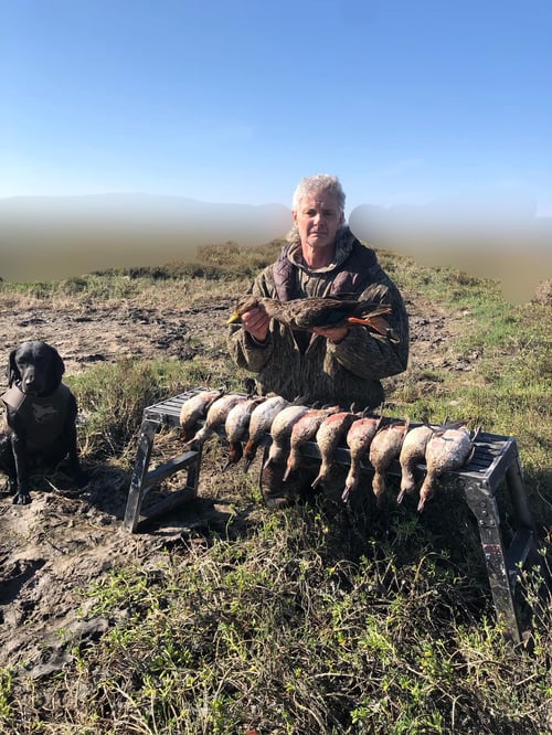Whacking Ducks in North Rockport