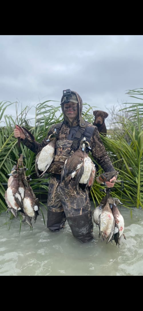 South Texas Waterfowl
