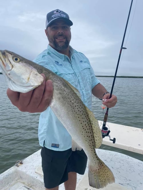 Speckled Trout Fishing in Port Mansfield, Texas