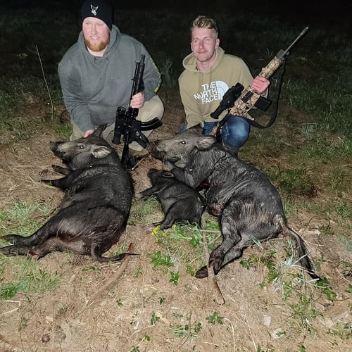 Coldspring Nighttime Hog Hunt