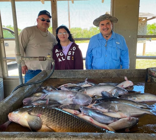 Falcon Lake Catfish Meat Haul 
