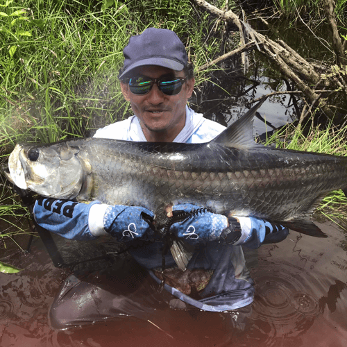 "Silver Kings" Tarpon Adventure