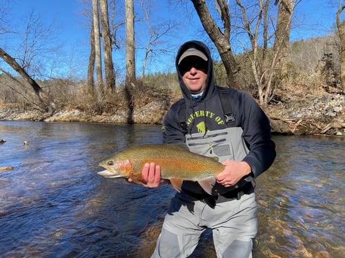 Wild Trout Classic