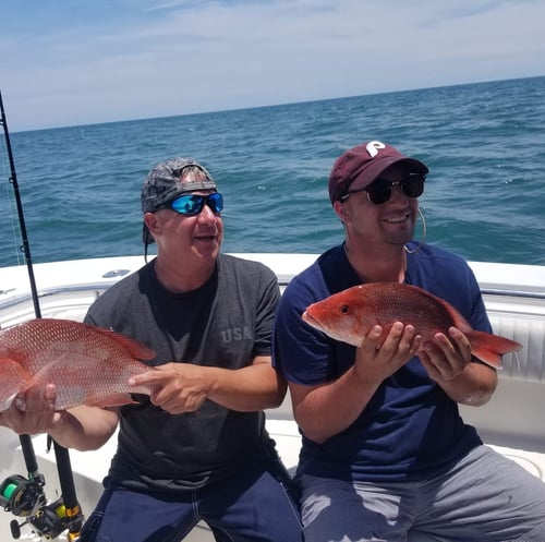 Bottomfishing/Trolling Combo