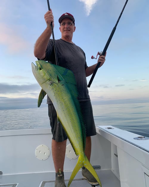 Dana Point 24-Hour Adventure