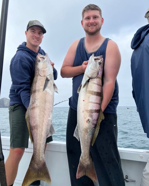 Dana Point 24-Hour Adventure