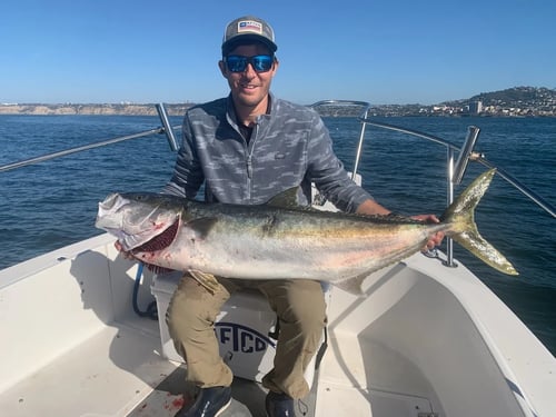 Coronado Islands Expedition