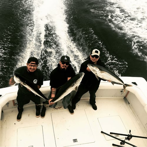 6-Hour Los Angeles Mixed Bag